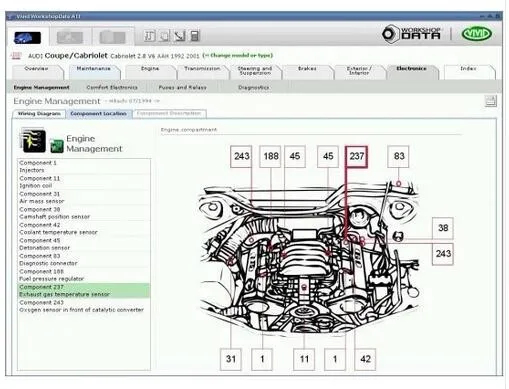 

Latest version vivid workshop data v10.2 for auto repair software collection until 2010 year auto repair software free shipping