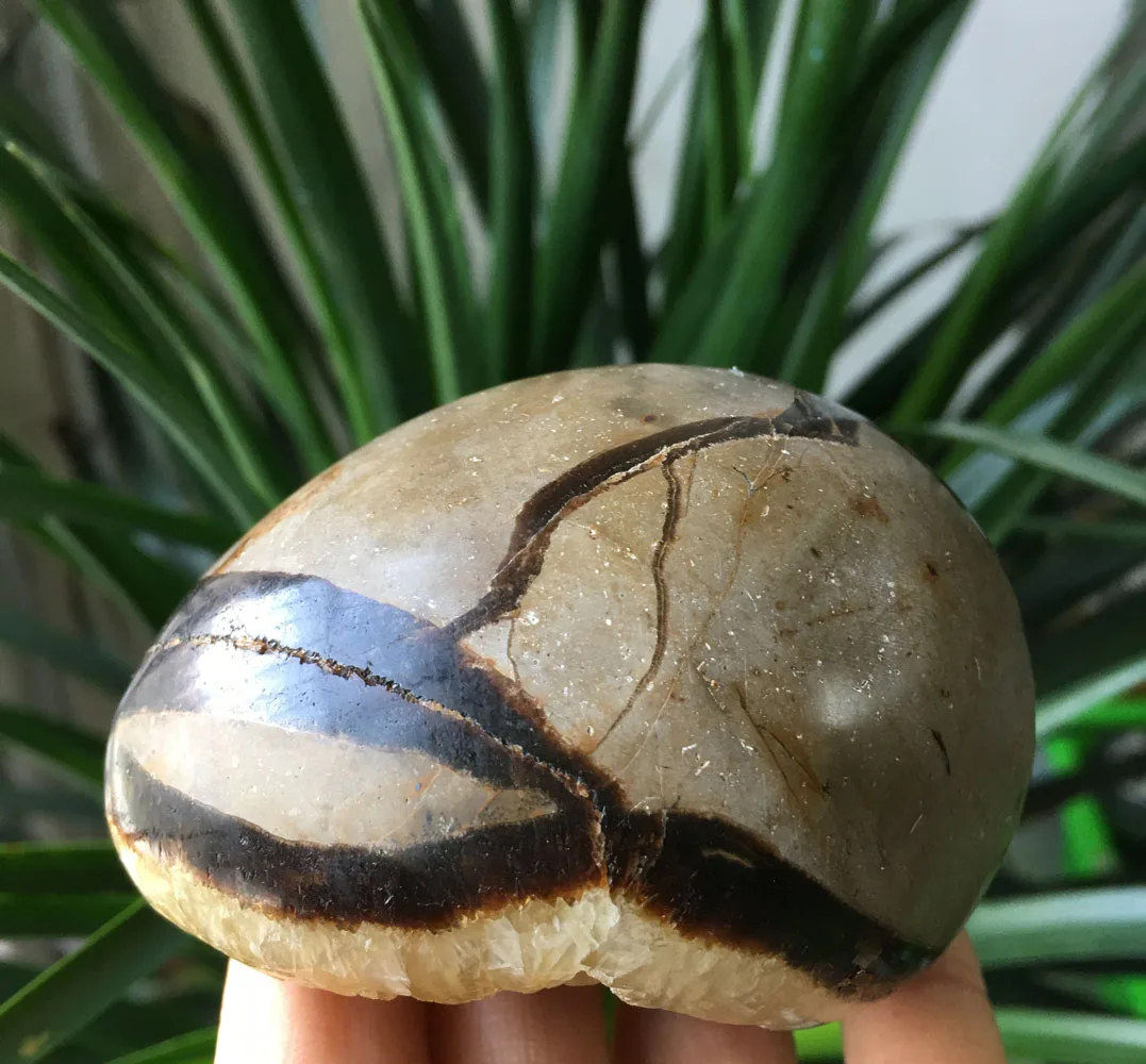 301 г натуральный Septarian geode Кристалл минеральные образцы камень фэншуй