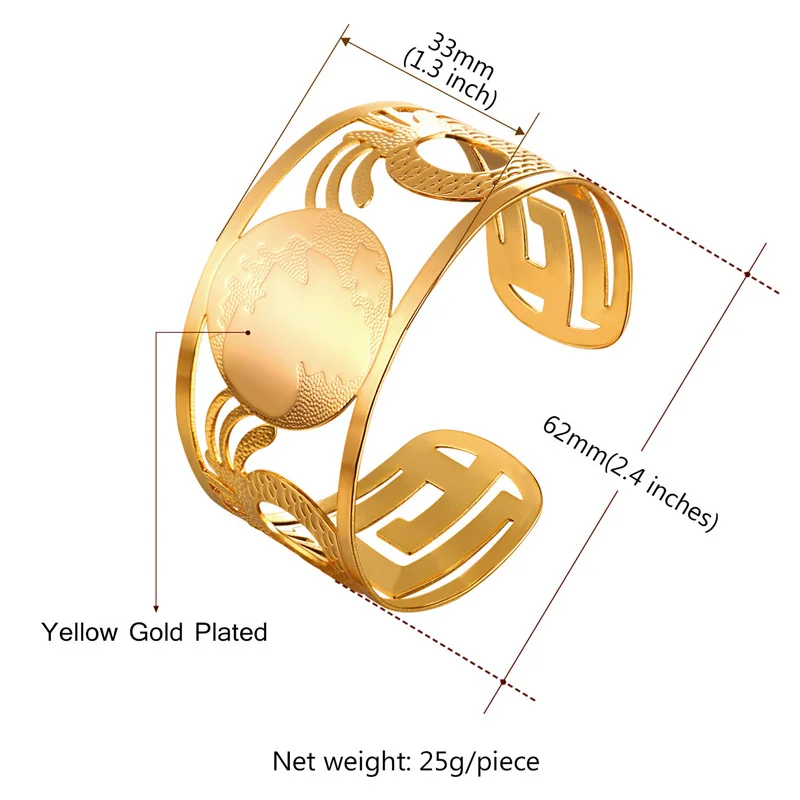 H2451-