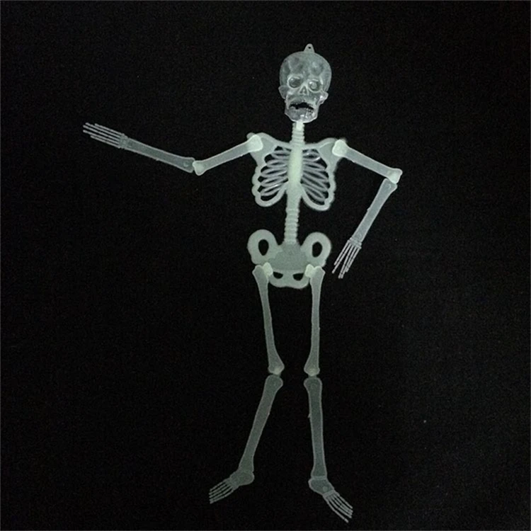 2951812039_2081277280
