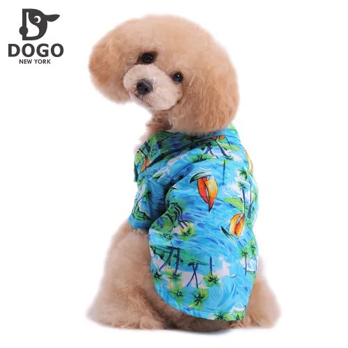 dogo clothing