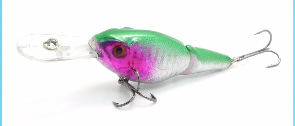 231