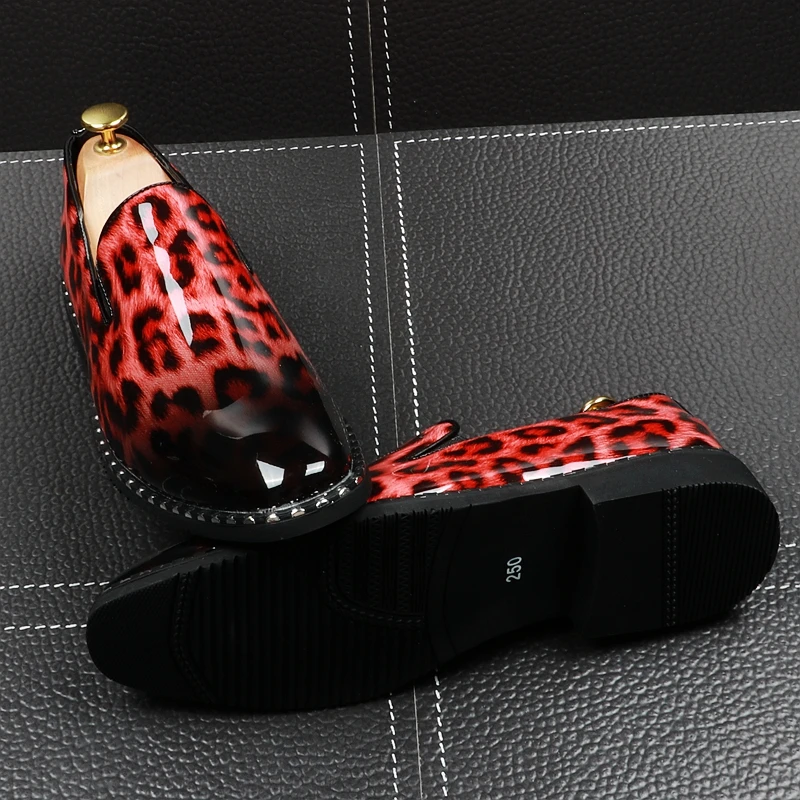 O1CN010XzckW1QlMyFddQ2D_!!3001192016