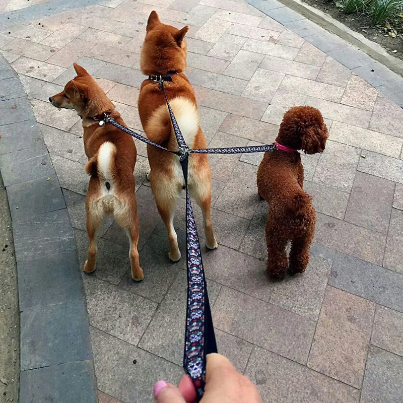 

3 in 1 Adjustable Heavy Duty black skull Nylon 3 Way Dog Walking Leash,No-Tangle Triple Coupler Multiple Dogs Leads 2 sizes