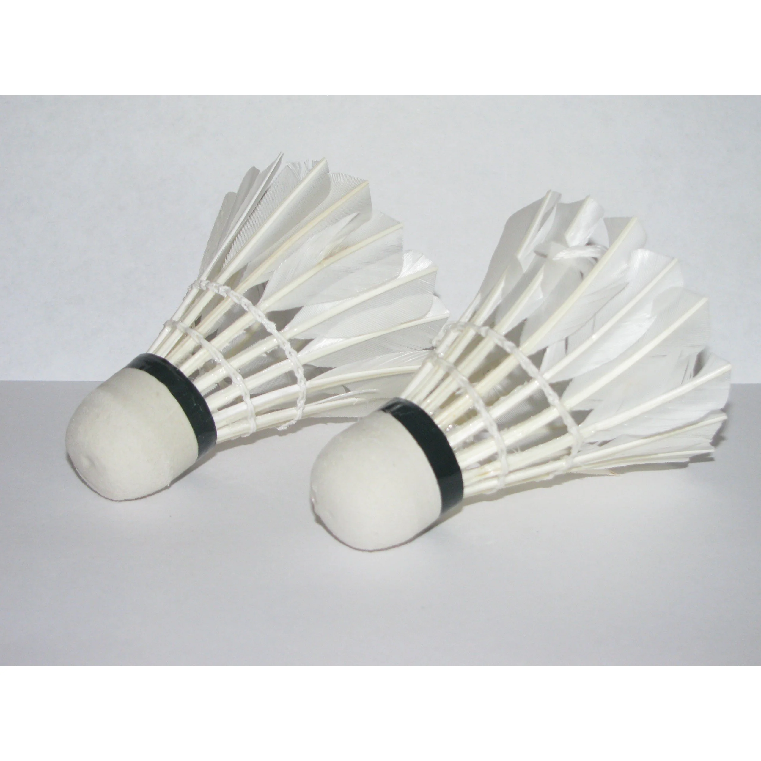 

LED Light-Up Badminton Birdies (Set of 2) Shuttlecocks Shuttlecock Feather