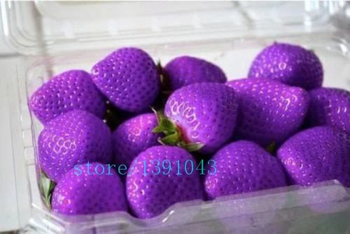300pcs/bag rainbow strawberry ,giant strawberry,rare bonsai organic fruit 300pcs/bag rainbow strawberry ,giant strawberry,rare bonsai organic fruit