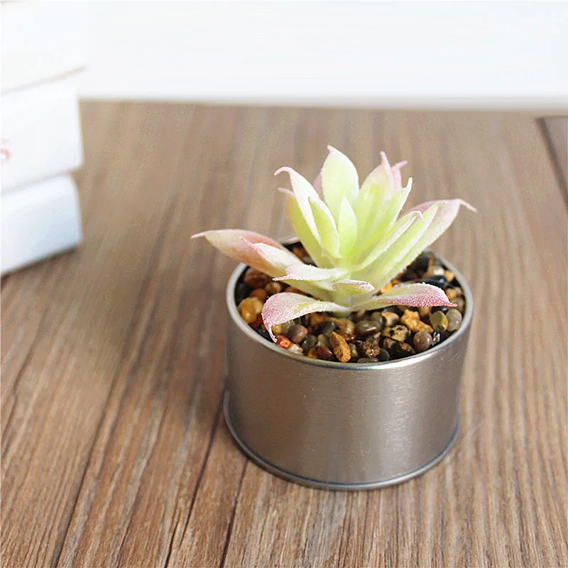 Simulated Potted Plants Succulent Bonsai Plastic Creative Decor portable Table Decor Artificial Flower