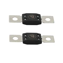 2 шт. GOLF CART 60A 32 в 60 ампер 32 вольт Alpha Rider батарея зарядное устройство для сосудов предохранитель