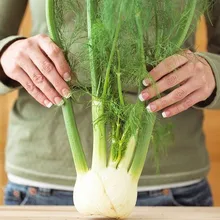 100 Fennel seeds of vegetables rich aroma cooking Spices anise flavor use in soups, salads, stir-fries, pot roasts, C019