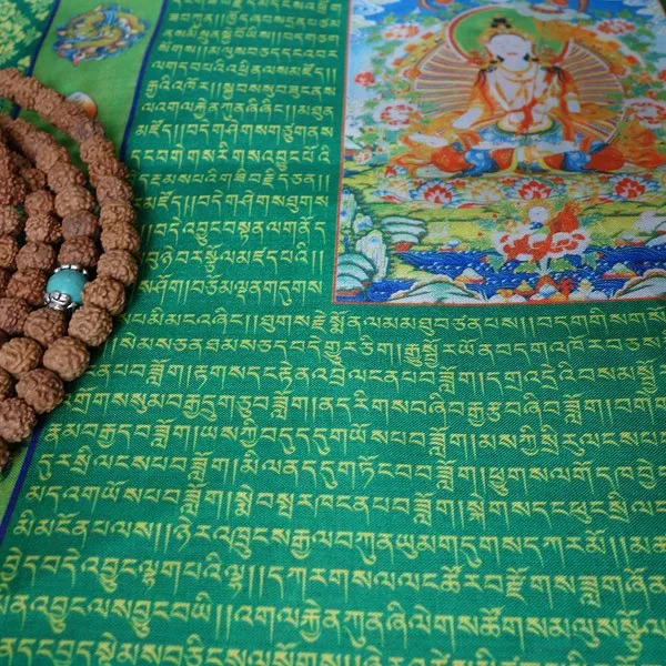 TB27dxSaVXXXXXfXXXXXXX