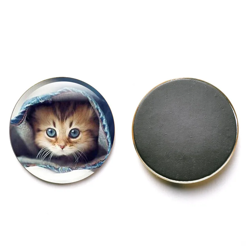 Buy Cute Cat Fridge Souvenir Artistic Vivid Crystal Glass Refrigerator