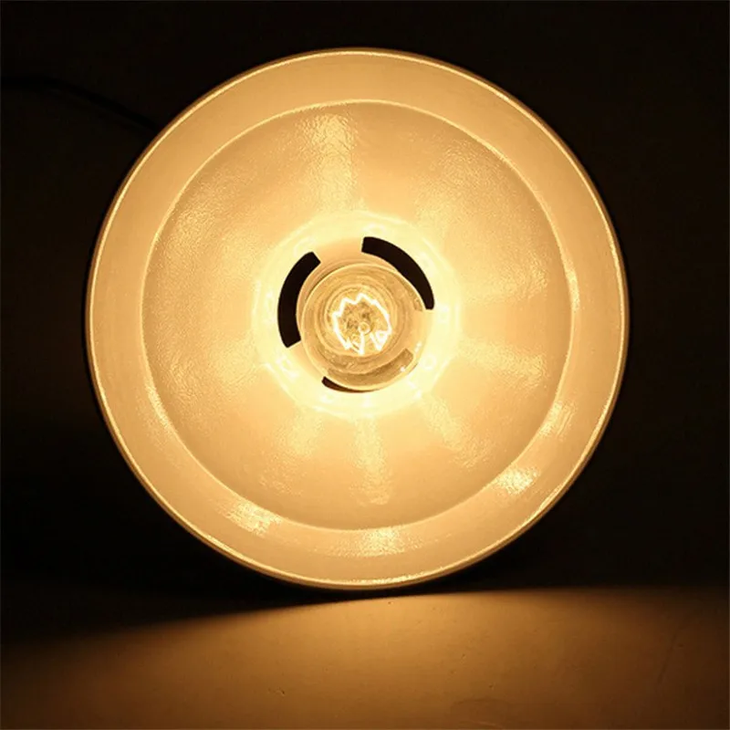 (3)