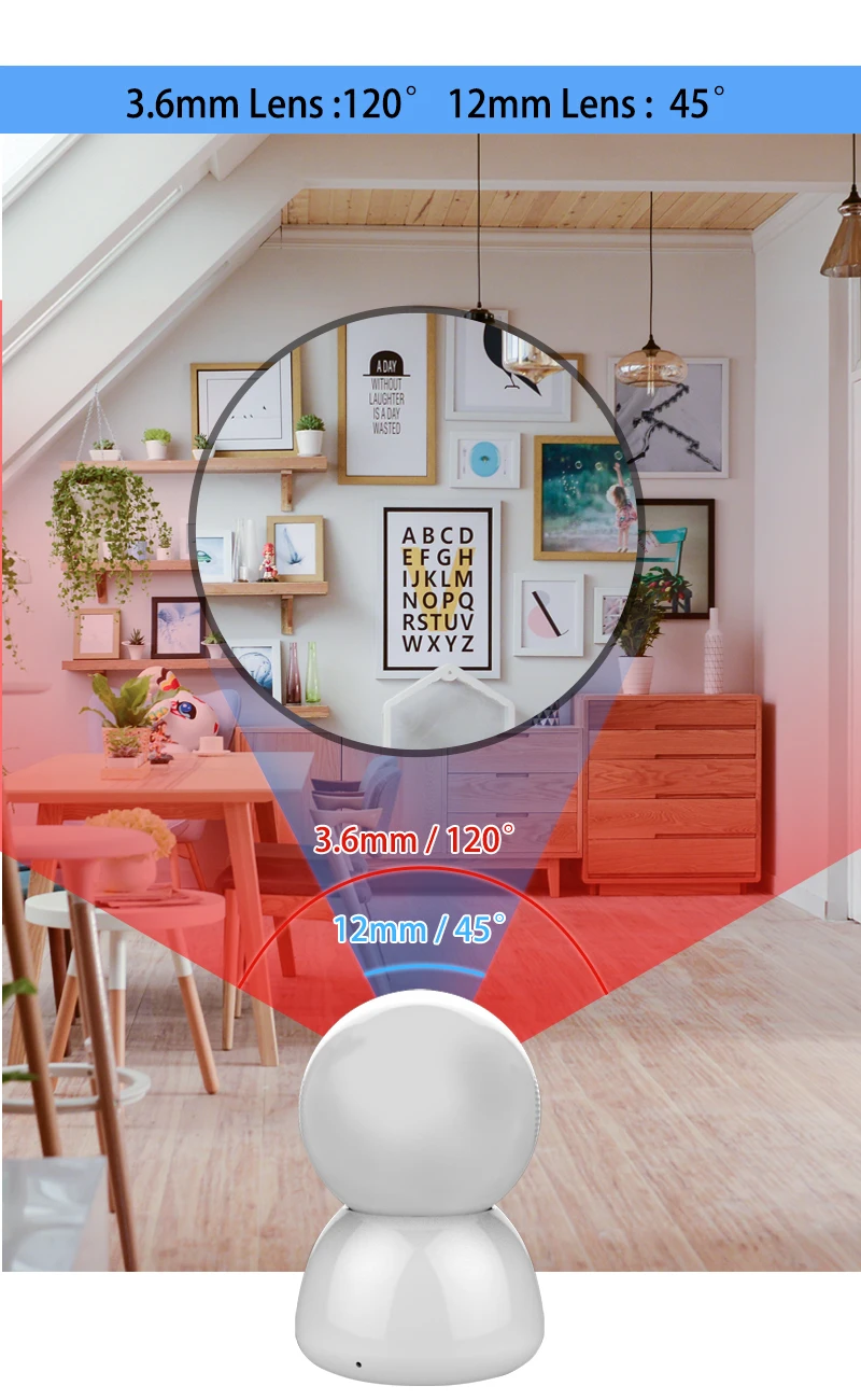 8 Dual lens IP camera