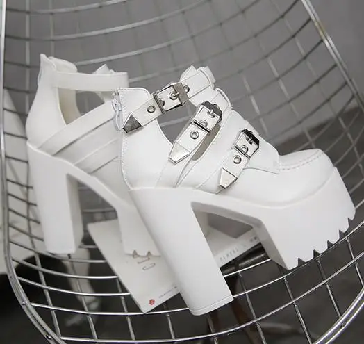 36020190303103243916