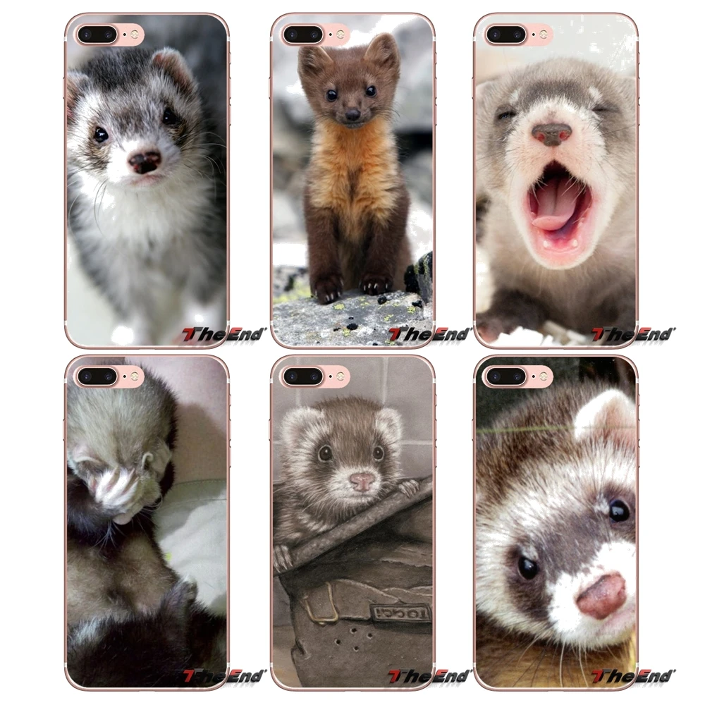 

For Apple iPhone X 4 4S 5 5S SE 5C 6 6S 7 8 Plus 6sPlus 6Plus 7plus 8plus Soft Transparent Shell Covers ferret