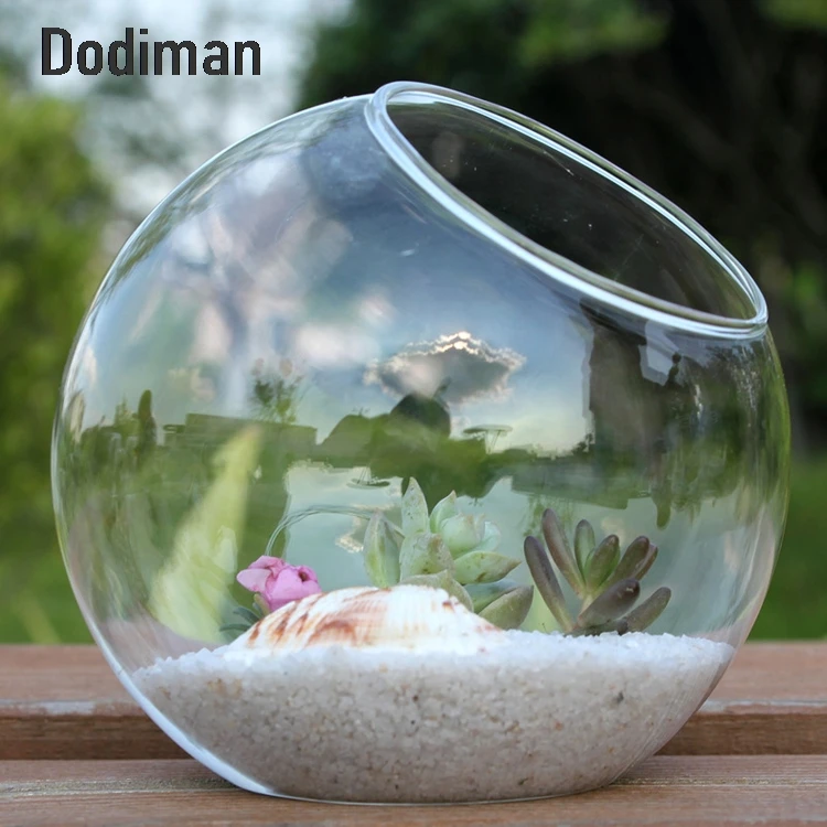 

1PCS Transparent Oblique Spherical Glass Vase Hydroponic Fleshy Micro Landscape Glass Bottle Moss Home Decoration