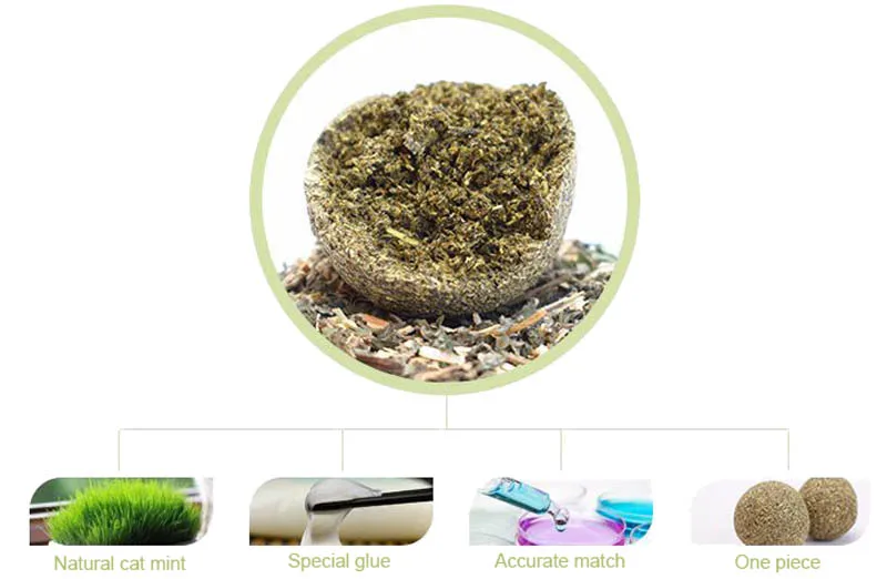 Pet Catnip Cat Treat Ball Home Chasing Toys Menthol Flavor Healthy Products For Cats Kitten Edible Supplies PT5011 (6)