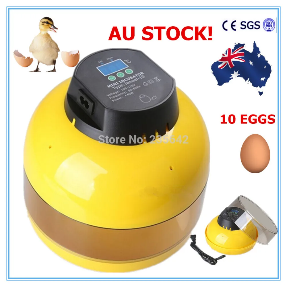 High Quanlity Holding 10 eggs incubator cheap egg incubator for sale ABS materialincubator