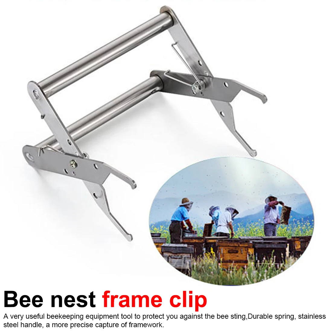 

Stainless Steel Bee Sting Capture Pliers Beekeeping Equipment Bee Hive Frame Holder Capture Grip Beekeeping Accessory Protect