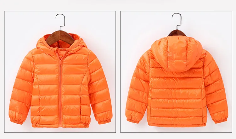 4450108646_1223885997