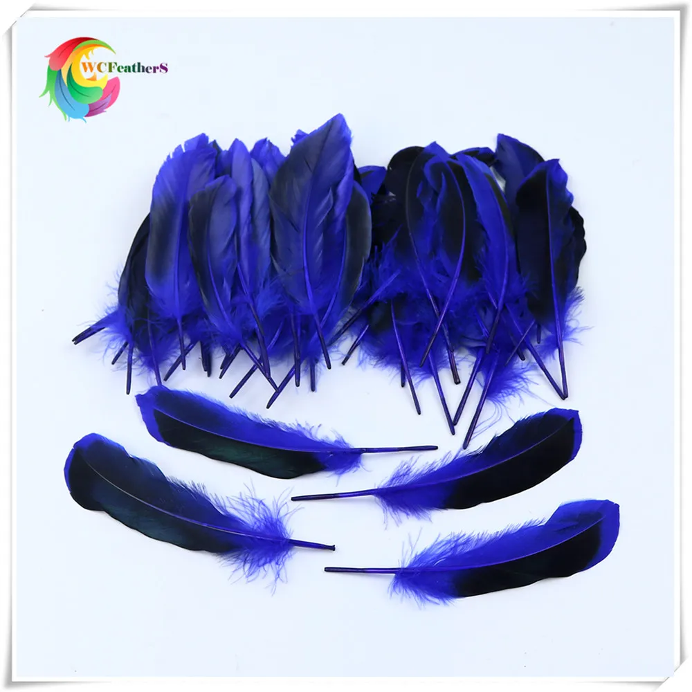 8 blue duck feather 3