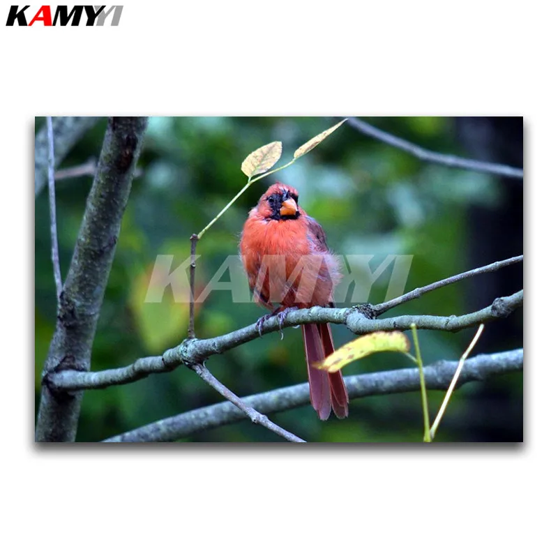 DIY 3D Diamond painting red parrot Full Square embroidery Cross stitch Starling Round mosaic animal bird | Дом и сад