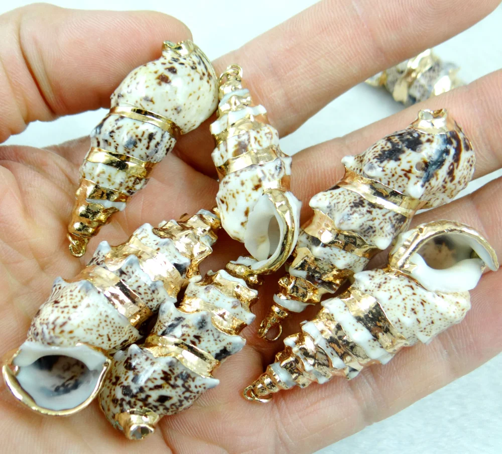 wholesale Cute Gold rim ocean conch shell Pendant Necklace Women ...