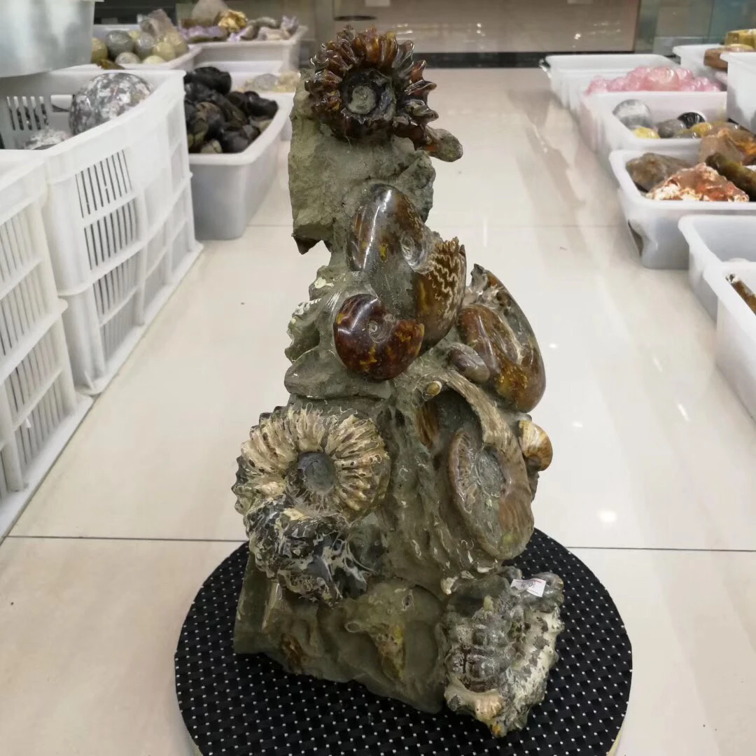 Высокое качество Коллекция fengshui подарки рок винт образец fossil