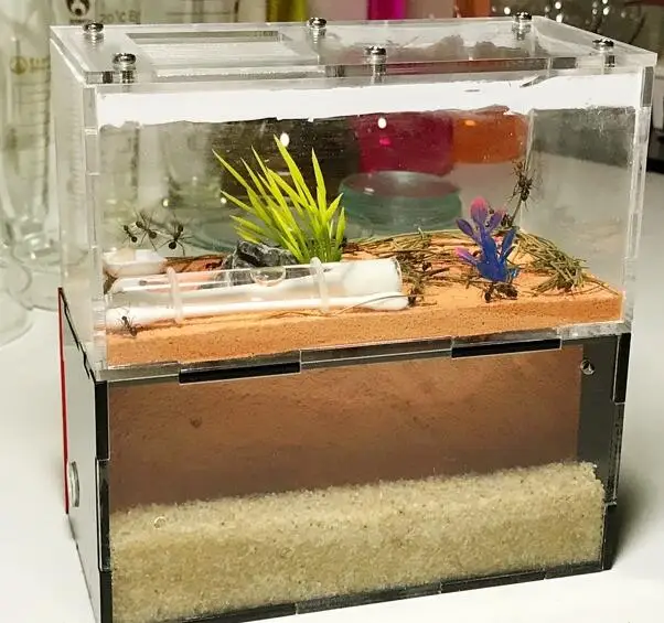 2 комнаты Муравьиное гнездо прозрачное Муравьиное Хо использование для детей домашнее животное использование студенческое научное устройство игрушечный муравей акриловая вилла ферма с набором инструментов