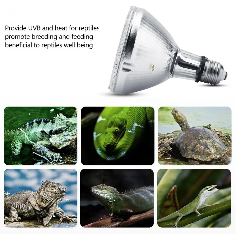 UVB UVA Reptile Light Bulb Mini Pet Lamp Box Lamp Full Spectrum Solar Calcium Supplement Lamp For Reptile Supplies