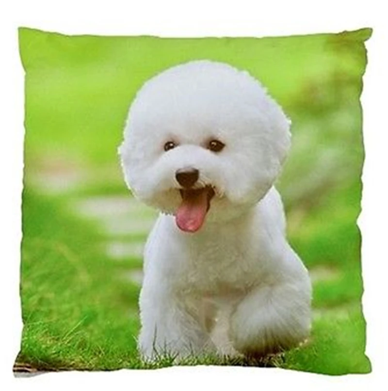 Carolines Treasures CK1267PILLOWCASE Bichon Frise #2 Spring Fabric Standard Pillowcase Multicolor Standard