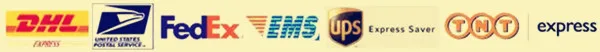 delivery  express LOGO.jpg