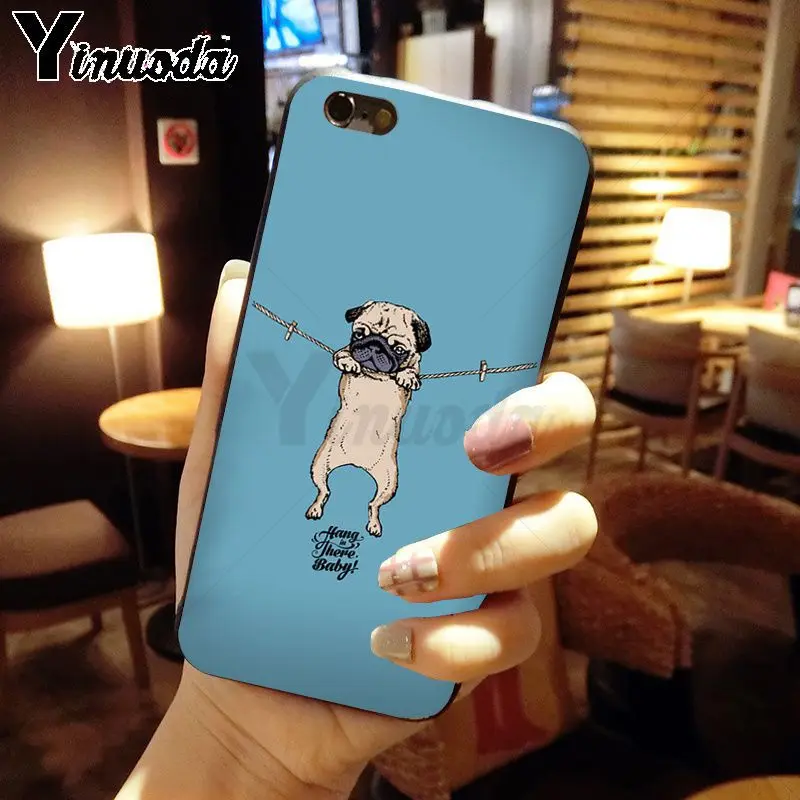 pug dog animal