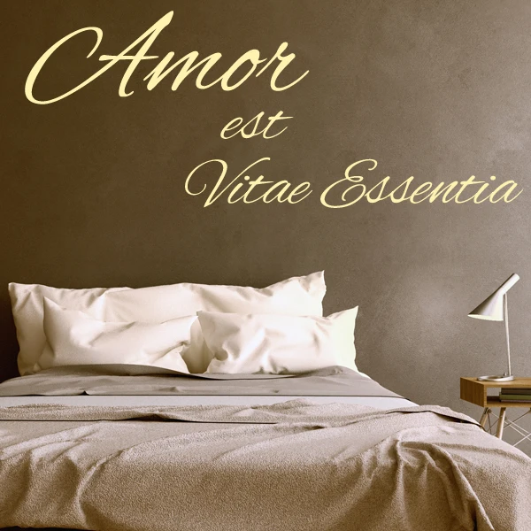 Vitae est. Amor est vitae Essentia. Amor est vitae Essentia перевод. Magna res est Amor. Amor est перевод.