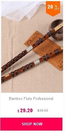 dianxiaobao