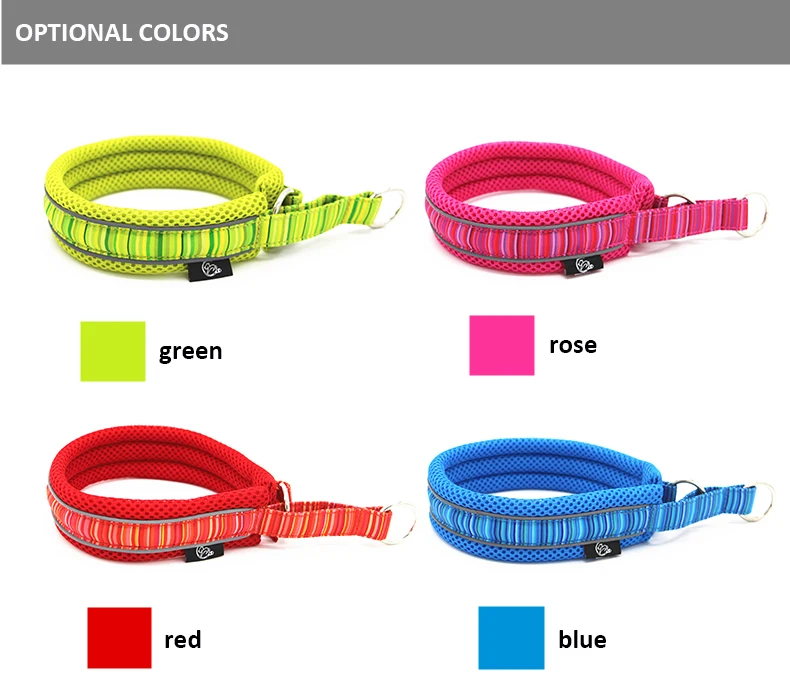 Dog Collars (1)