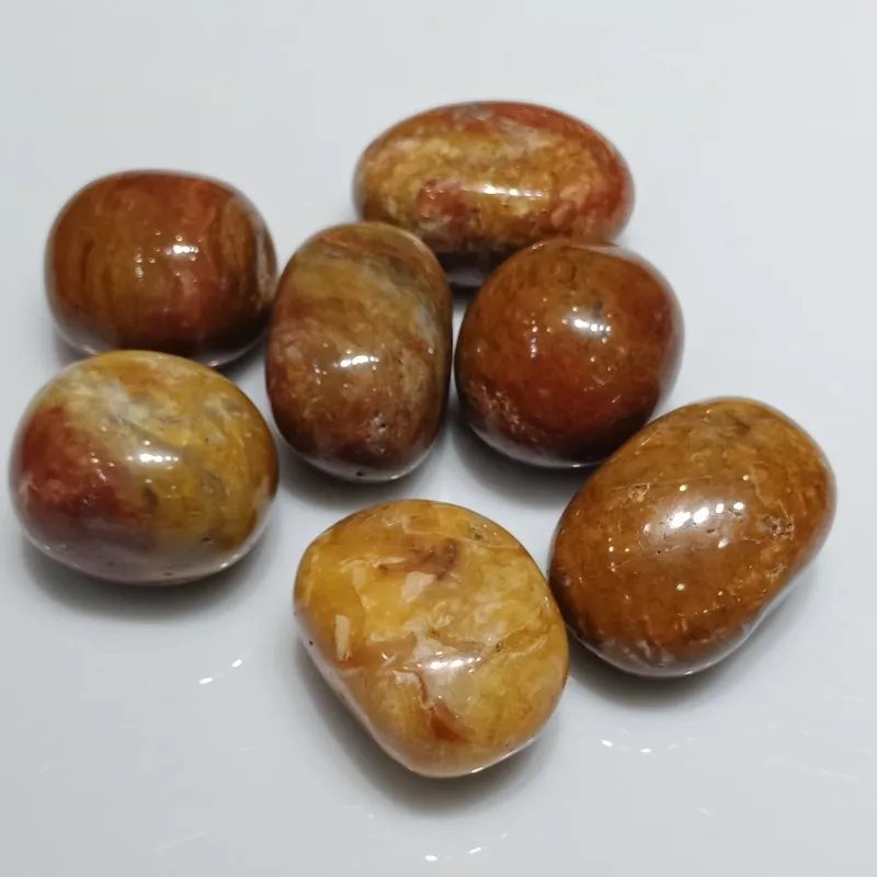 conew_img20190511164408