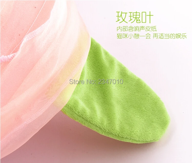 QQ20160724214102.jpg
