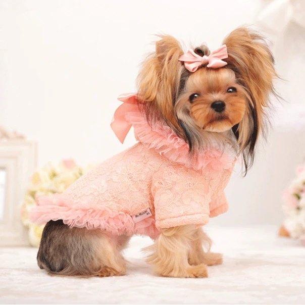 pink ladies dog jacket