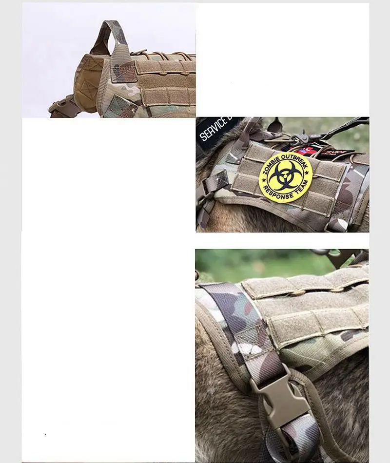 9052338372_6748043___