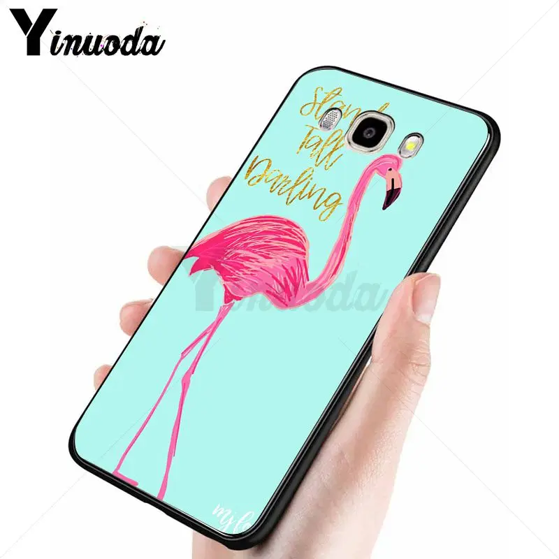 red summer animal flamingo