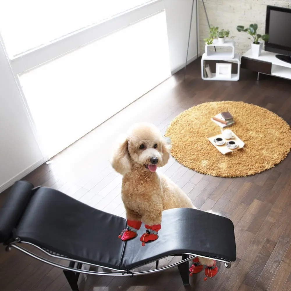 71-VZhEfAeL._SL1000_