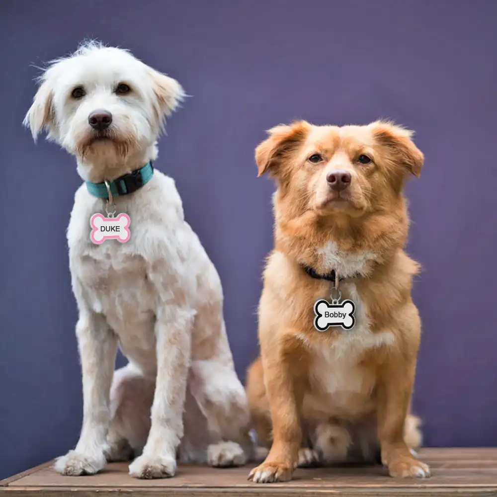 customized dog name tags