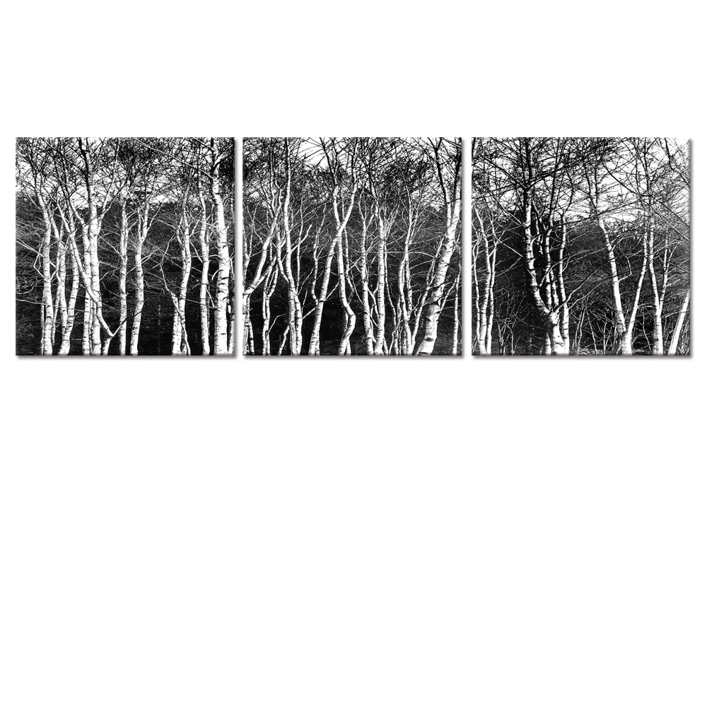 Visual Art Decor Black and White Tree Photo Canvas Art Print Landscape