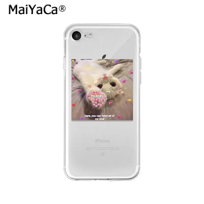 Animal Dog Cat Love You Friend Couple
