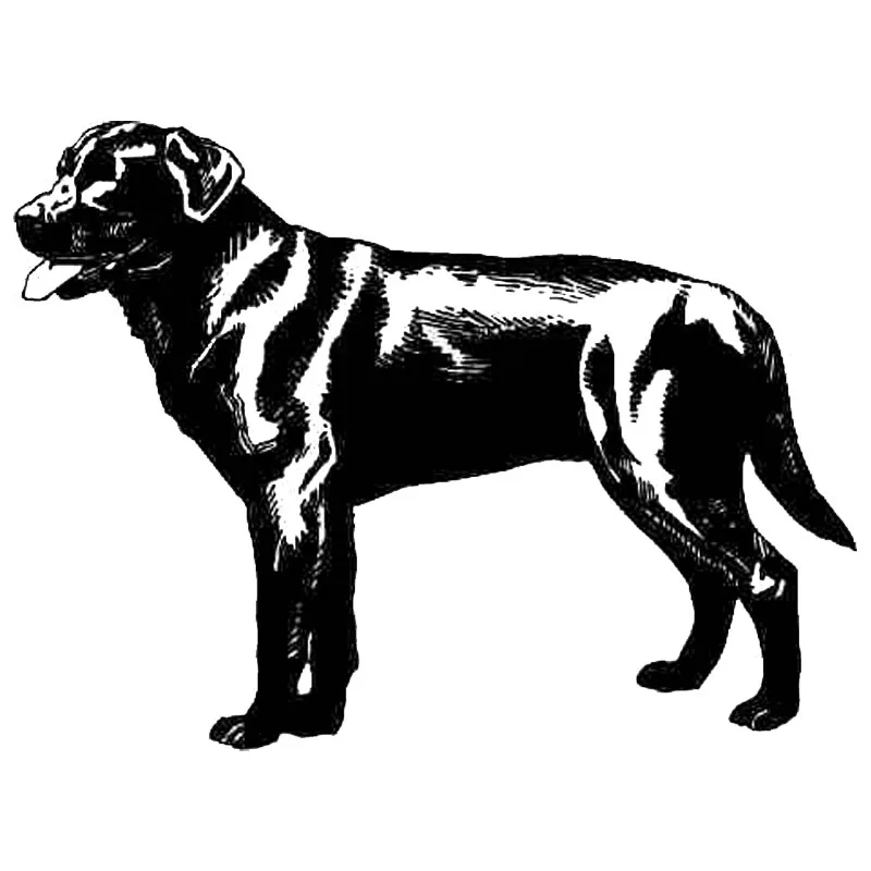 

11.9*8.9CM Golden Retriever Labrador Dog Car Stickers Reflective Vinyl Decal Car Styling Bumper Accessories Black/Silver S1-0549