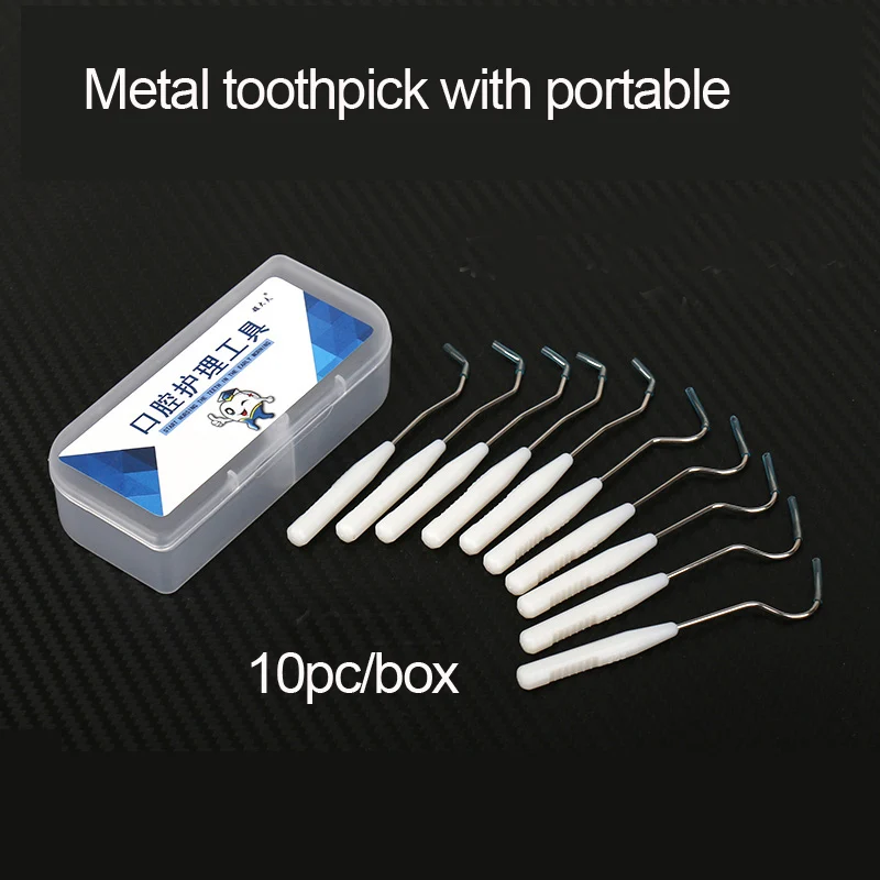 Stainless steel metal toothpick carry portable dental floss needle hook