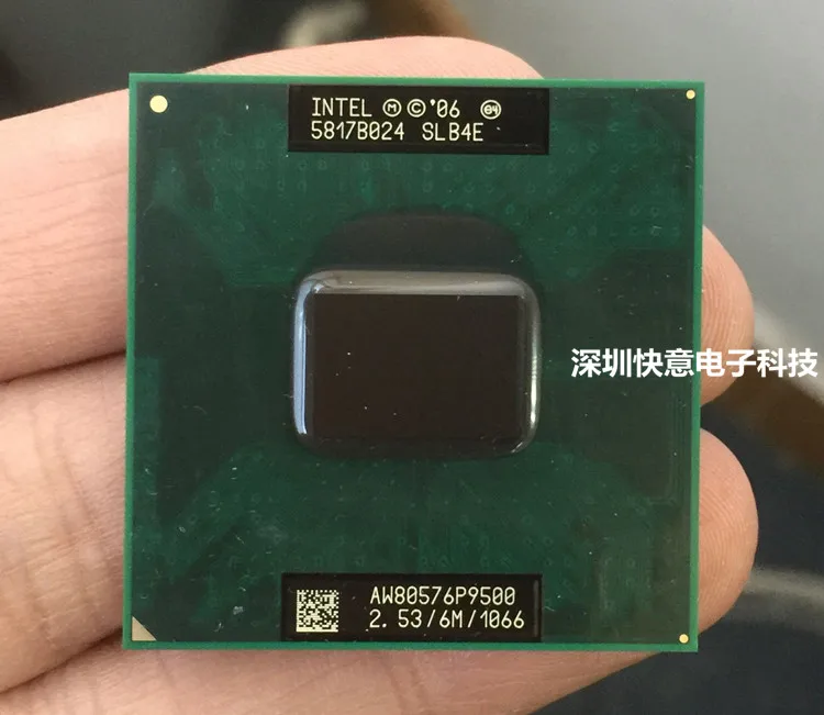 P9500_1