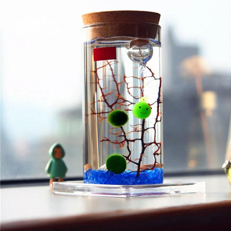 11/12cm Round Glass Jar Globe Terrarium Glass Jar with Colorful LED Light Cork Micro Landscape Ecological Bottle Night Lights moon night light