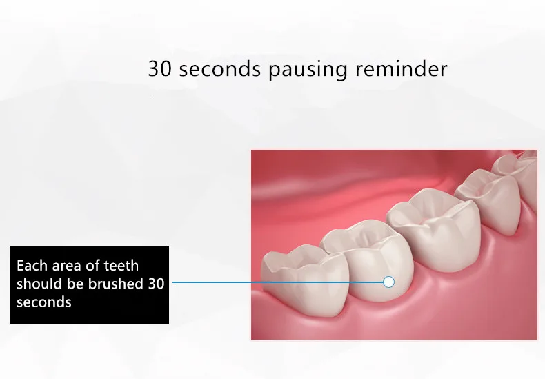 USB Rechargeable Electric Toothbrush